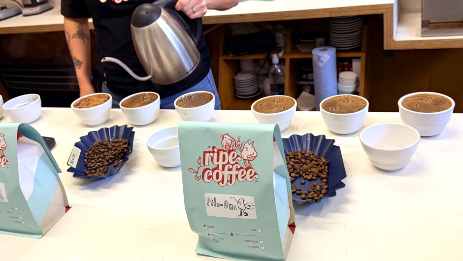 Coffee roastery experience - Cupping