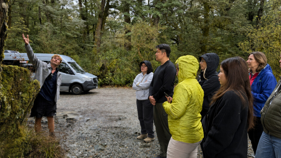 Local Guides