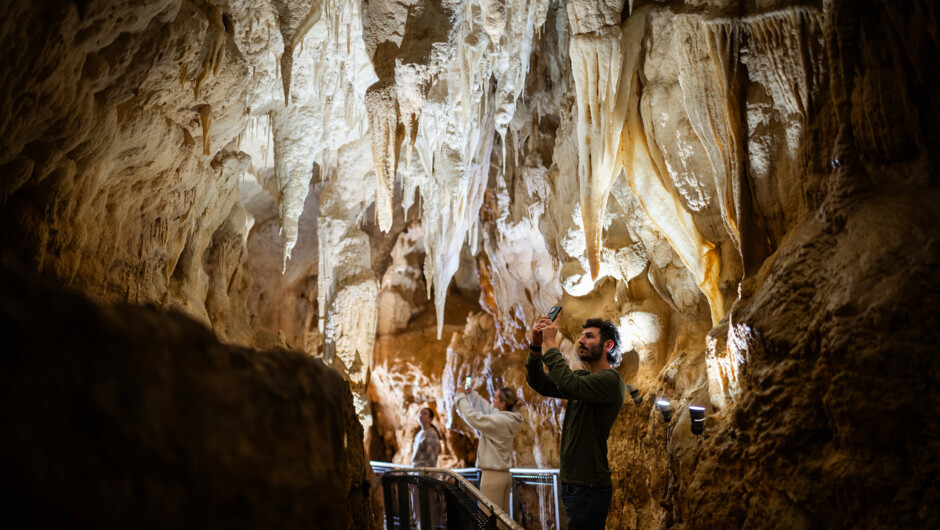 Discover glowworms and cave formations deep underground.