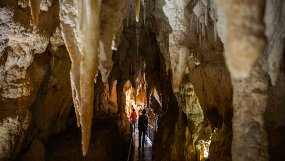 Discover glowworms and cave formations deep underground.