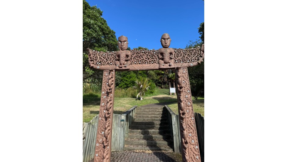 Maori medicinal garden