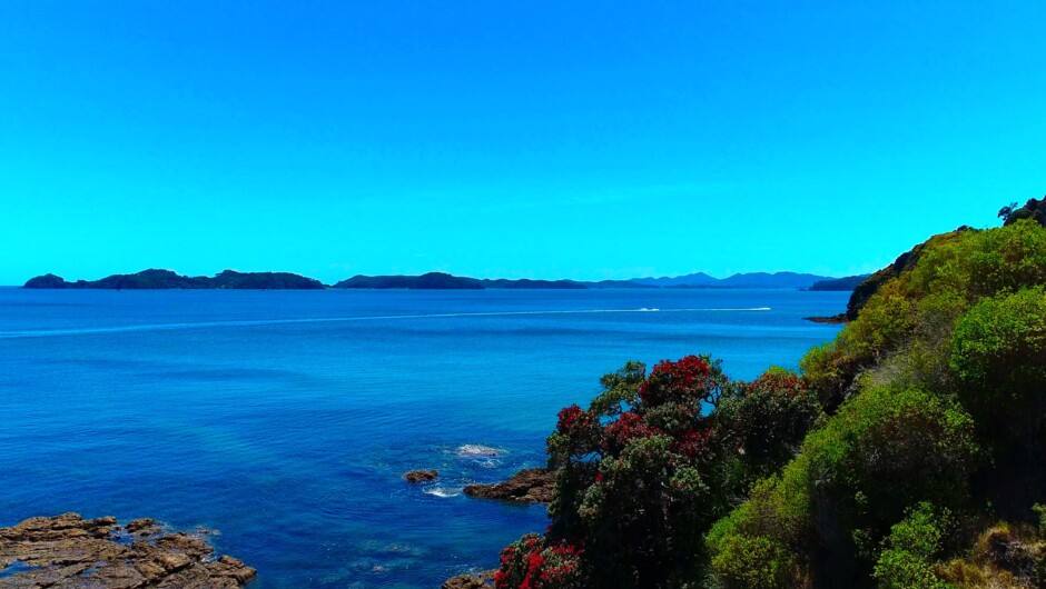 The Otehei Expedition - Bay of Islands Paradise
