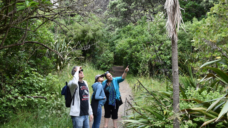Private Auckland Māori Luxury Tour with TIME Unlimited Tours