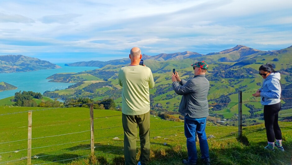 Capturing the view at the hilltop viewpoint above Akaroa Harbour on an Adventure By Nature tour to Akaroa and Banks Peninsula