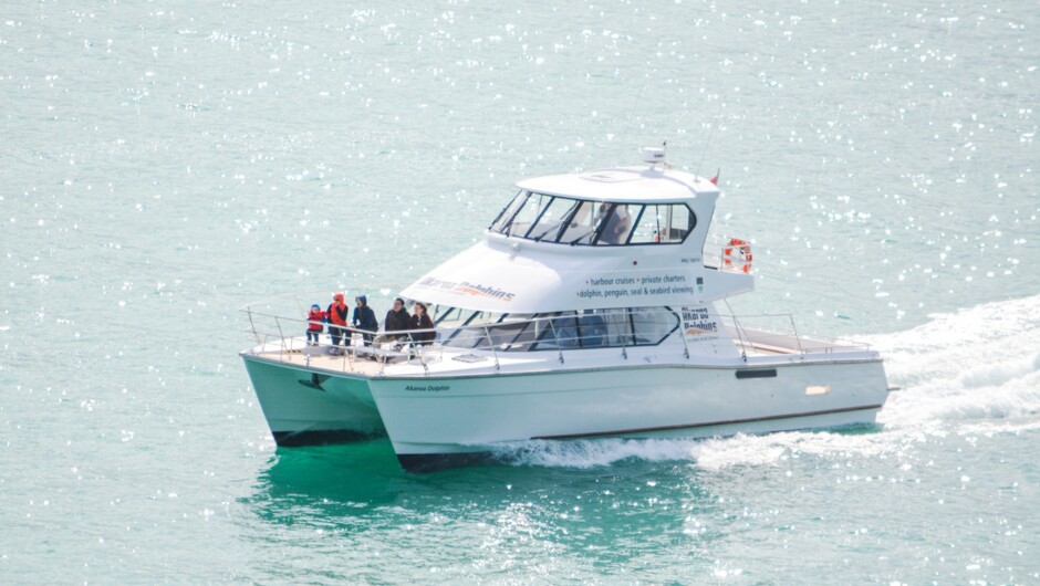 Guests onboard Akaroa Dolphins Harbour Nature Cruise
