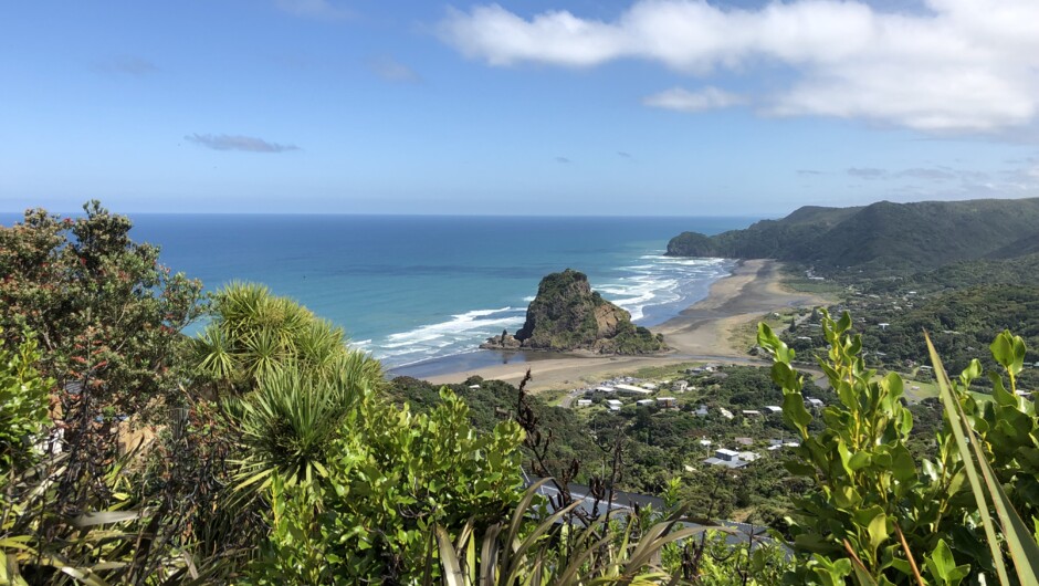 Private Auckland West Coast  Food &amp; Wine Region Tour - TIME Unlimited Tours