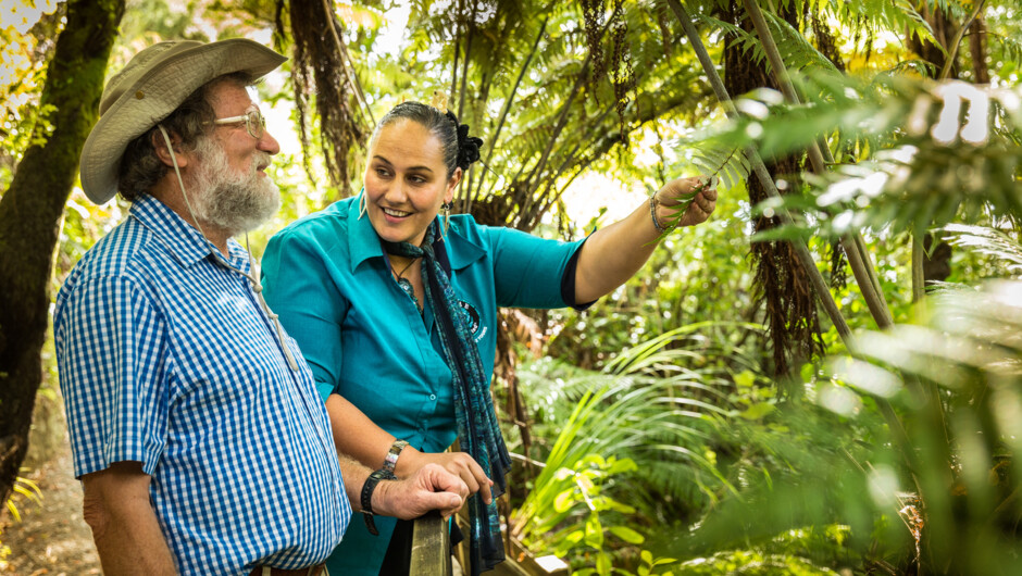 Private Auckland Māori Luxury Tour and Cultural Performance