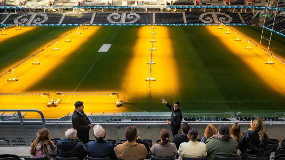 Take in the Stadium from the Seating Bowl
