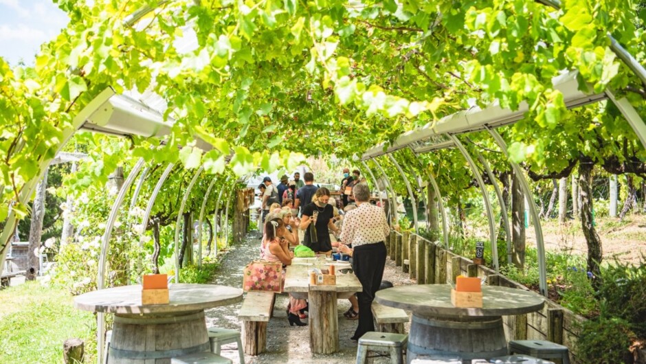 Private Matakana Food &amp; Wine Region Tour
