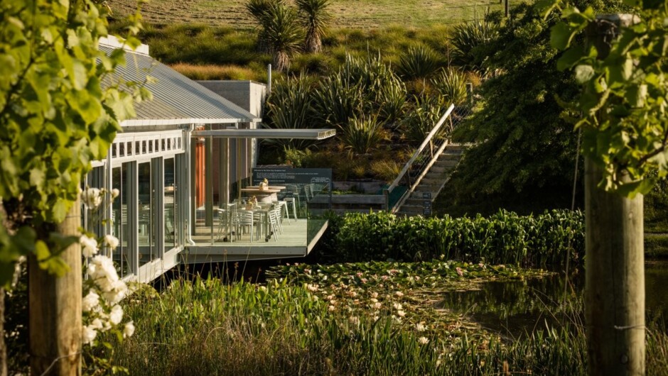 Private Matakana Food &amp; Wine Region Tour