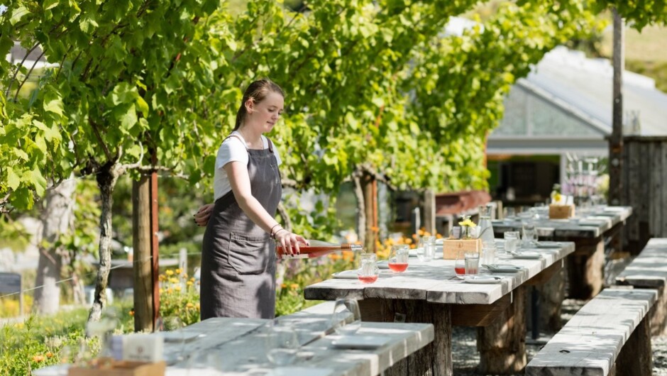 Private Matakana Food &amp; Wine Region Tour