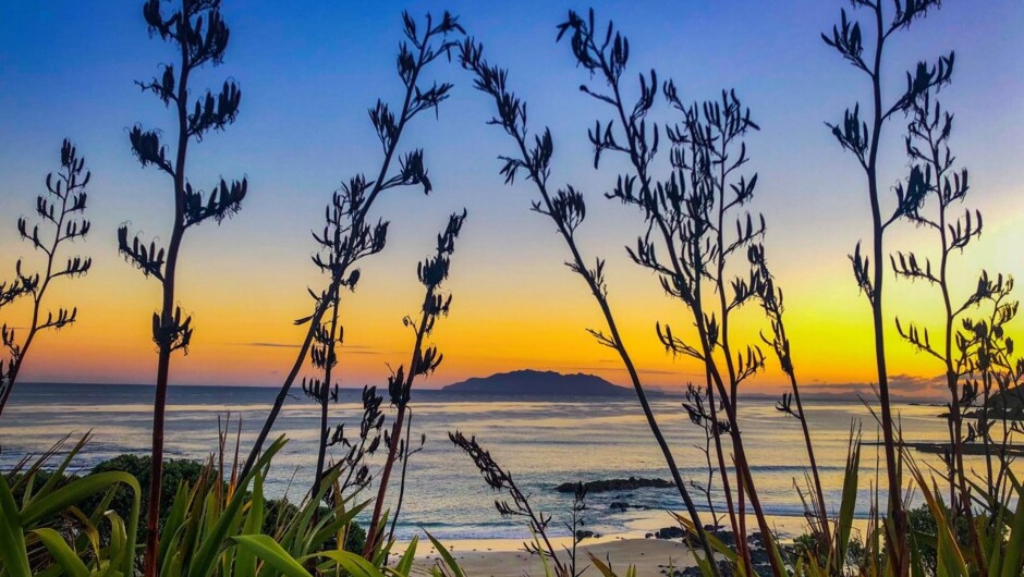 Private Matakana Food &amp; Wine Region Tour