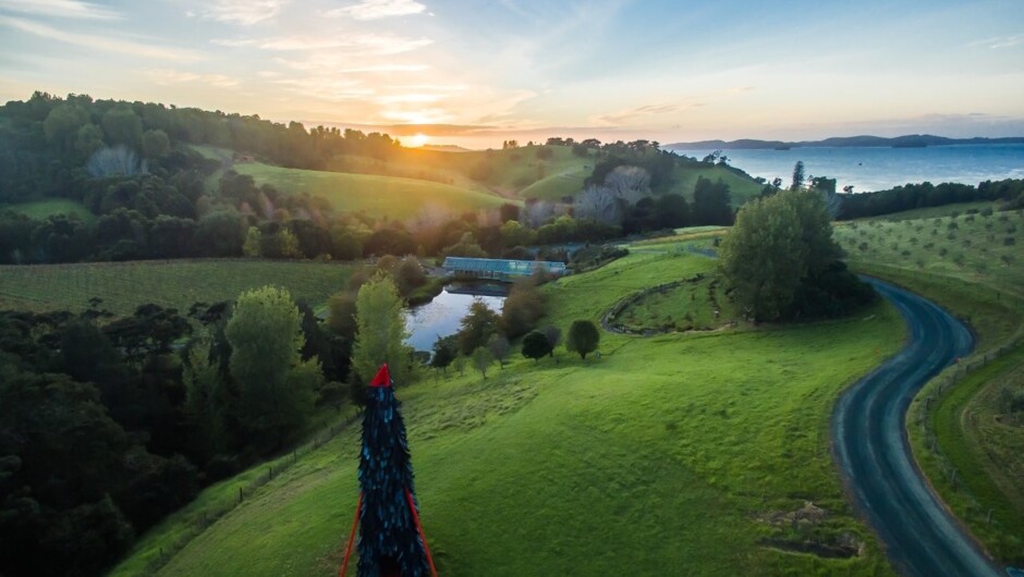 Private Matakana Food &amp; Wine Region Tour