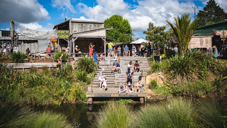 Private Matakana Food &amp; Wine Region Tour