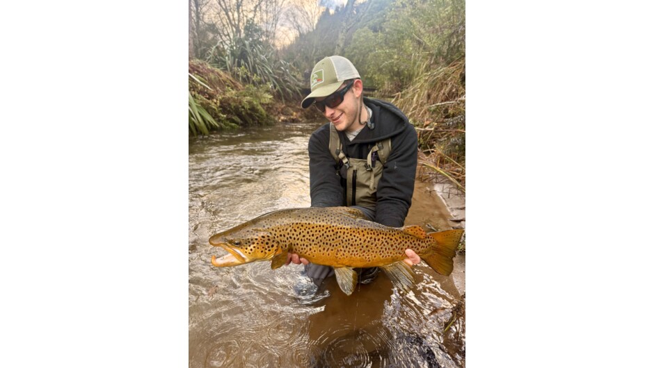 Ollie Bassett Fly Fishing - Trophy Brown Trout Rotorua