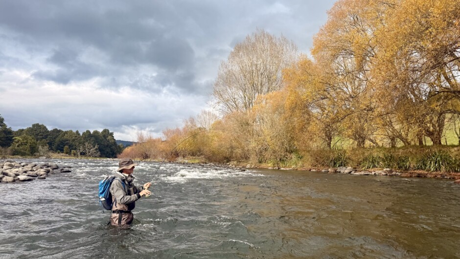 Ollie Bassett Fly Fishing - Fly Fishing Guiding