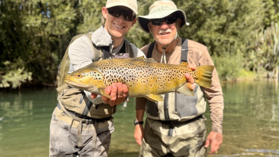 Ollie Bassett Fly Fishing - Rotorua Brown Trout