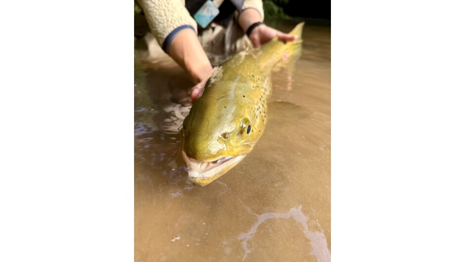Ollie Bassett Fly Fishing Guiding
