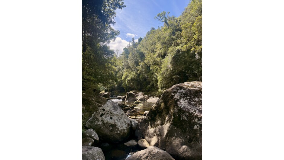 Ollie Bassett Fly Fishing - Tauranga backcountry Fly Fishing