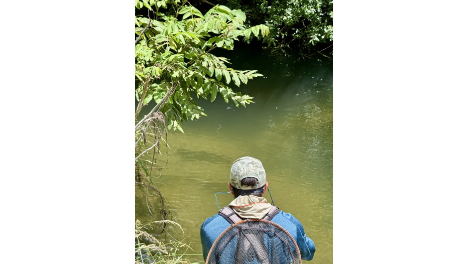 Ollie Bassett Fly Fishing - Sight Fishing