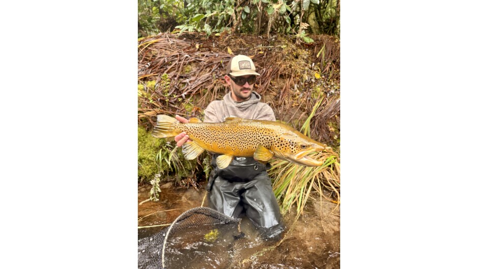 Ollie Bassett Fly Fishing - Trophy Paradise Valley Brown Trout