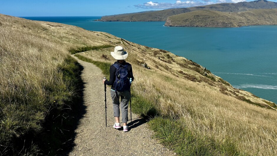Walking at Godley Head