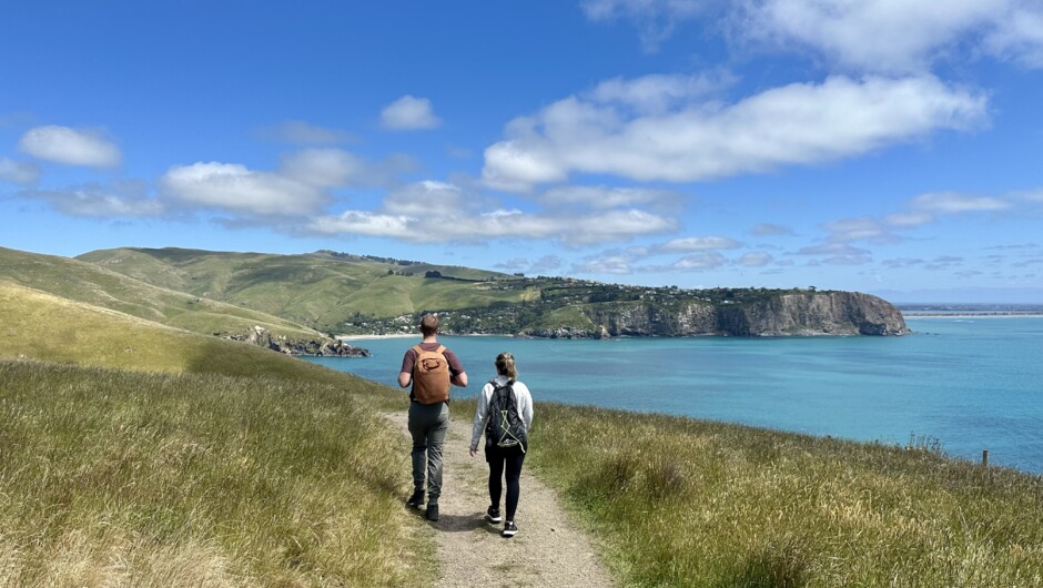 Godley Head Track