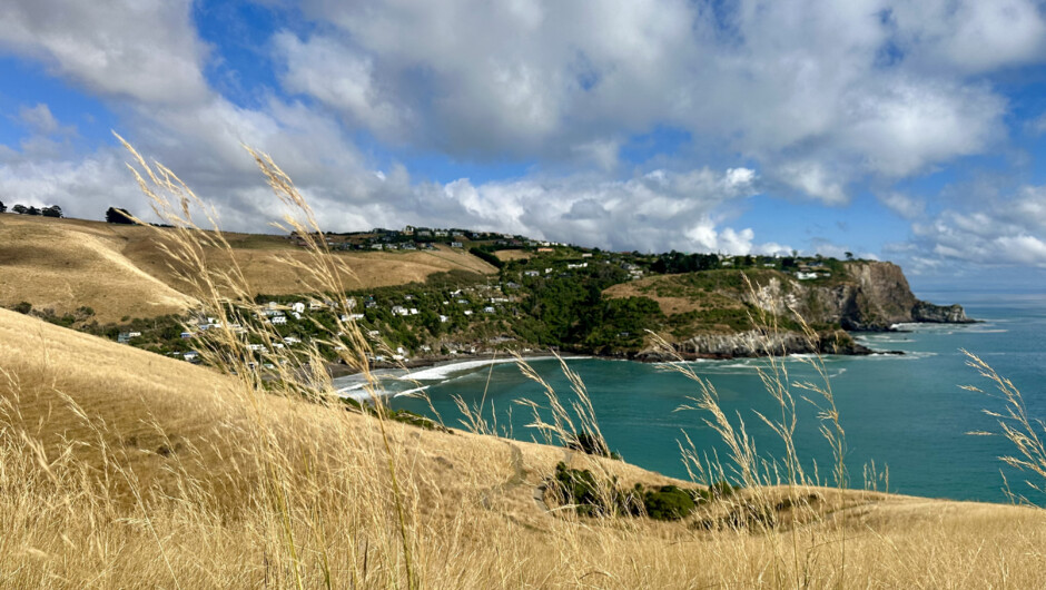 Godley Head views