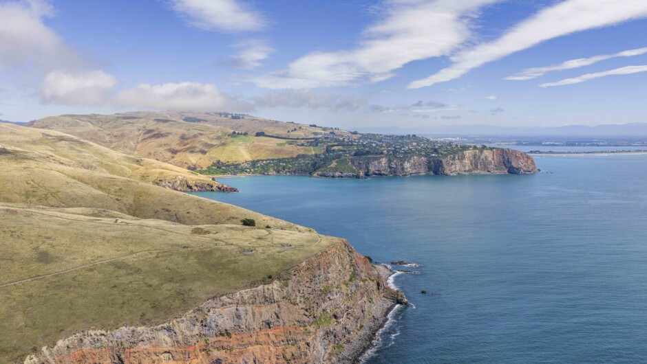 Godley Head and Scarborough
