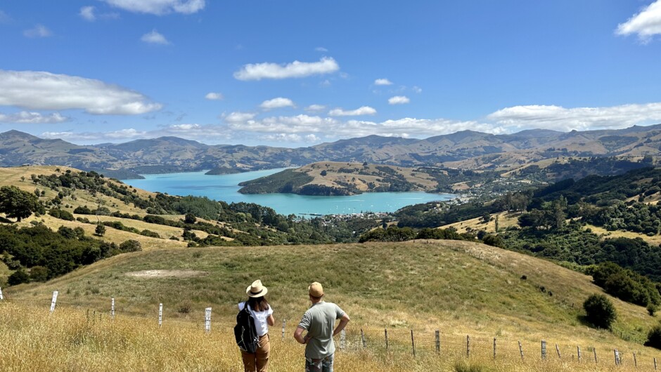 Looking down over Akaroa Village