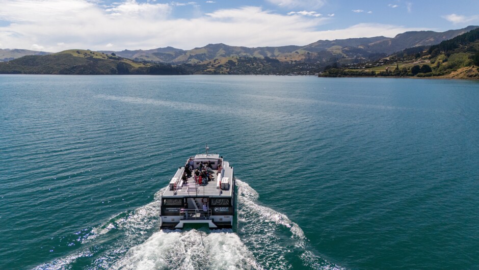 Akaroa Nature Cruise