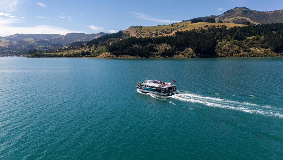 Blackcat Nature Cruise