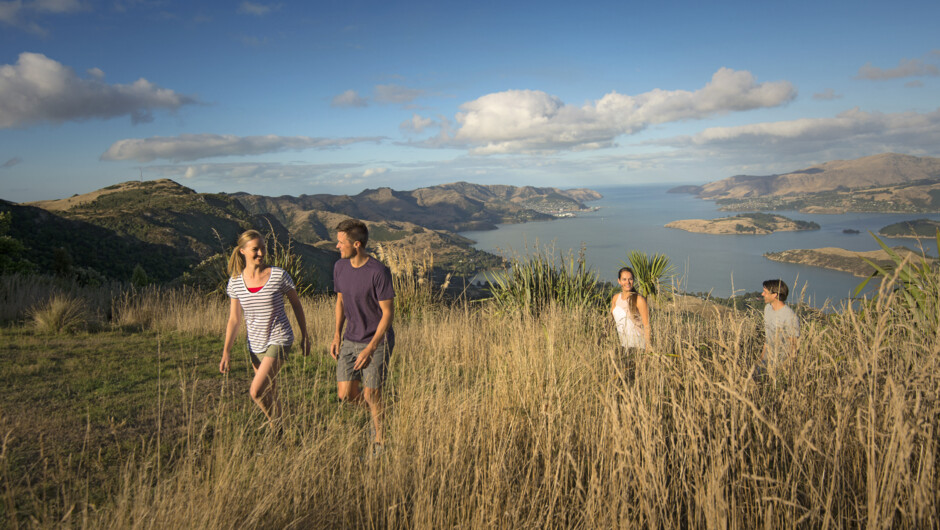 Walking in the Port Hills