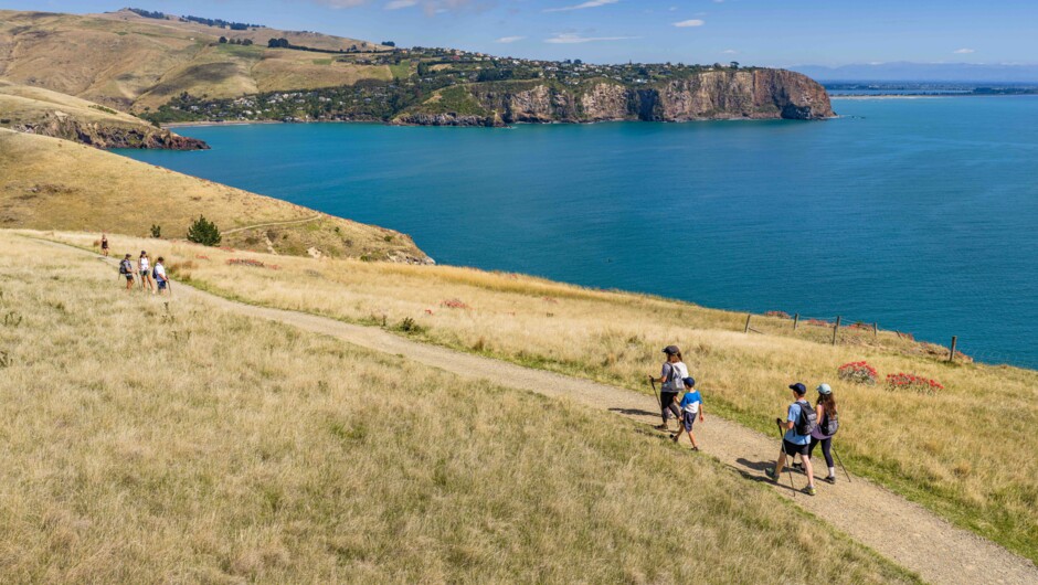 Godley Head Track