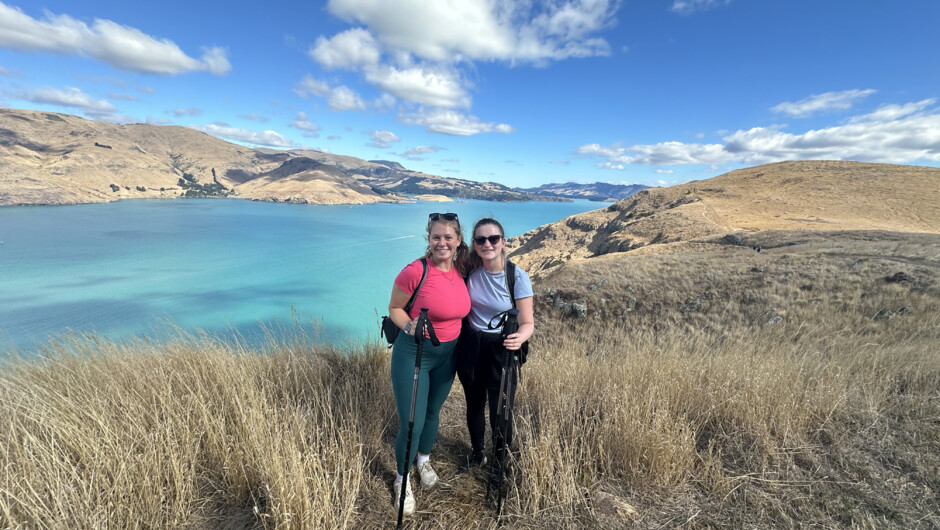 Lyttelton Harbour views