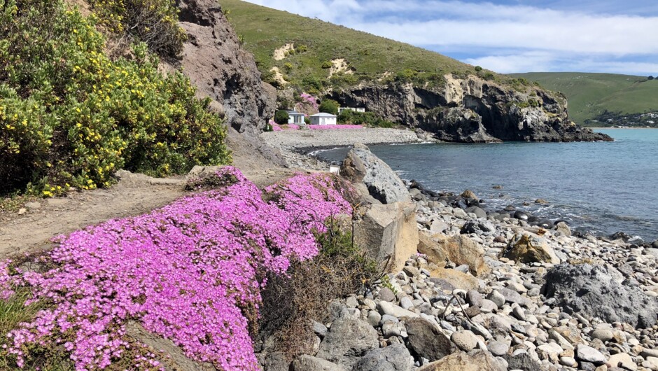 Boulder Bay