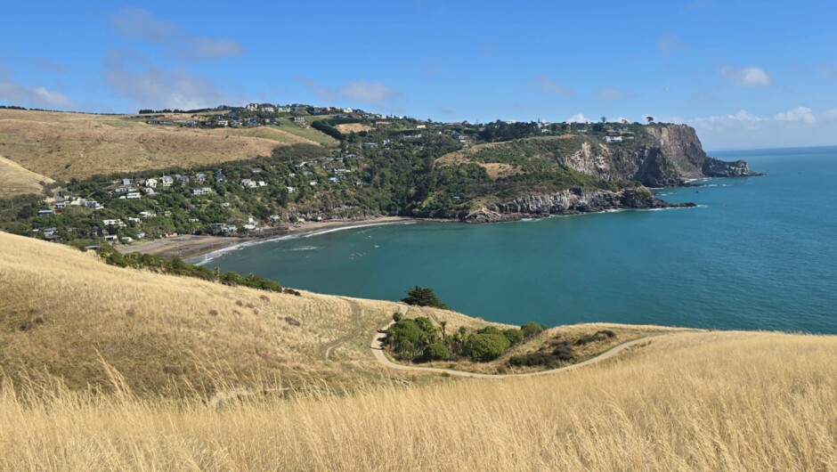 Godley Head Loop Trace