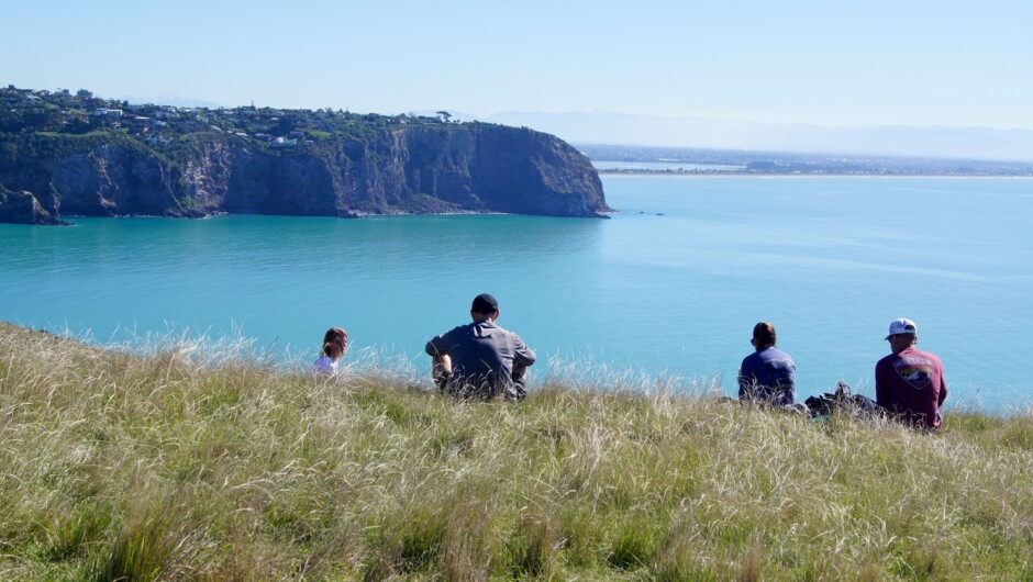 Picnic with a view at Godley Head