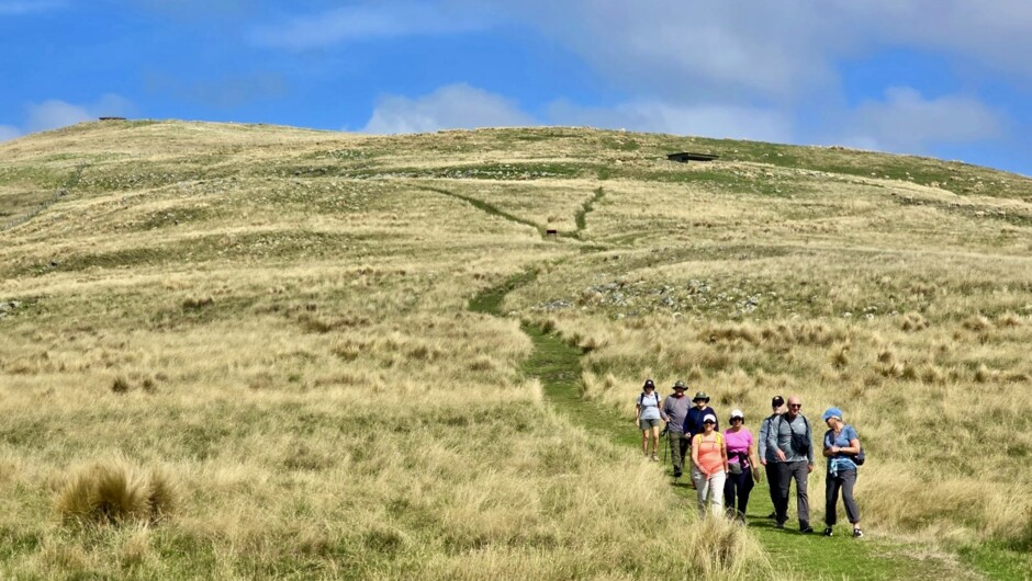 Godley Head Track