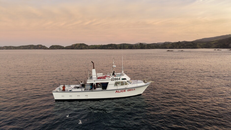 The Alice Dell is a 17.5 metre vessel with a spacious deck