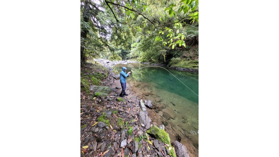 Rotorua fly fishing guide