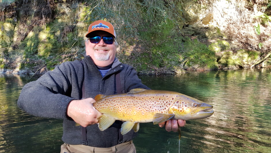 Rotorua brown trout spring creek