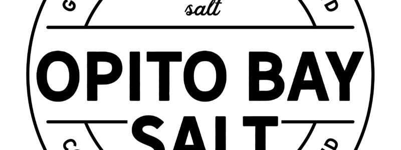 Salt logo transparent (2024_08_02 21_58_18 UTC).jpg
