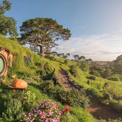 Hobbiton Movie Set