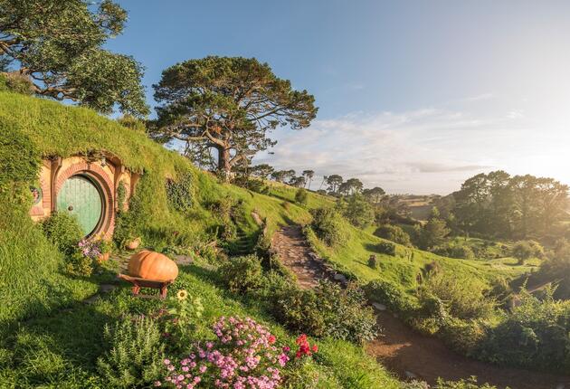 For your own Middle-earth adventure, fully guided walking tour operate daily to visit the original Hobbiton Movie Set from The Lord of the Rings movie trilogy and The Hobbit films.