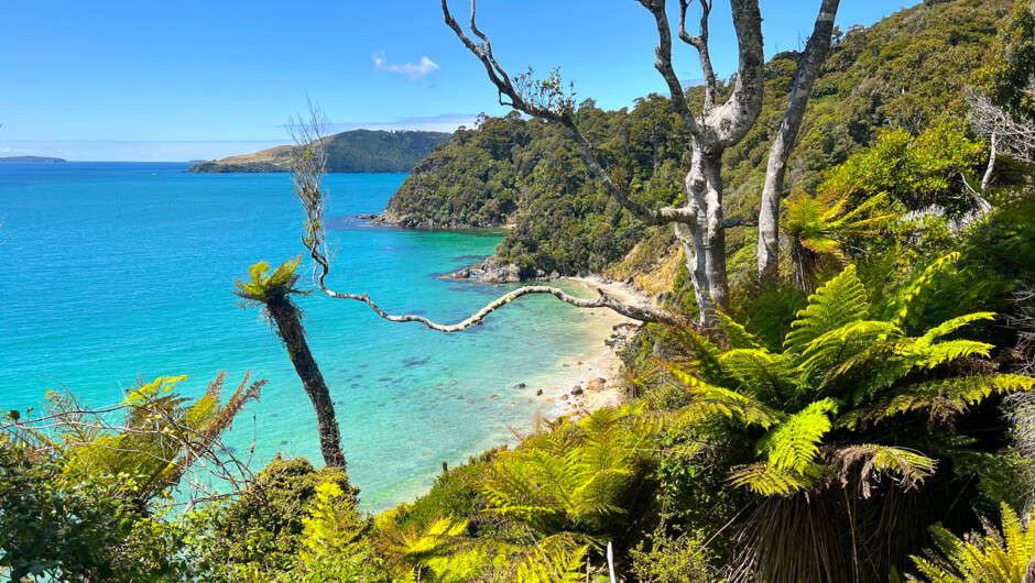 Explore Rakiura Stewart Island.