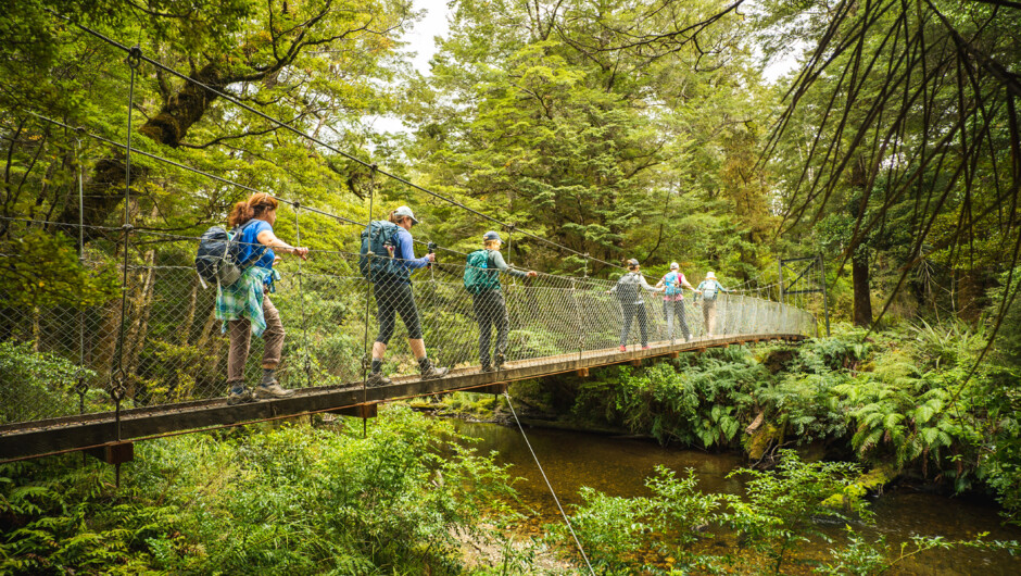 Explore the Kepler Track in Fiordland National Park.