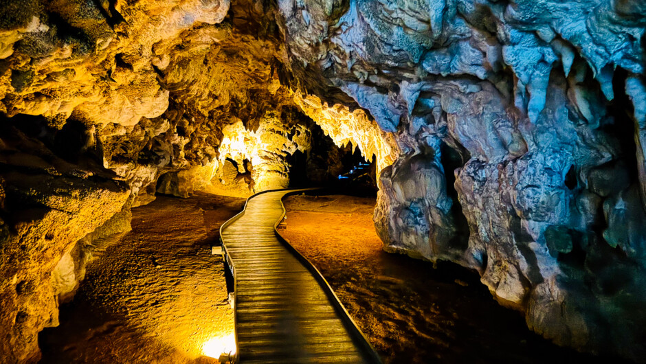 Explore Waitomo Glowworm Caves.