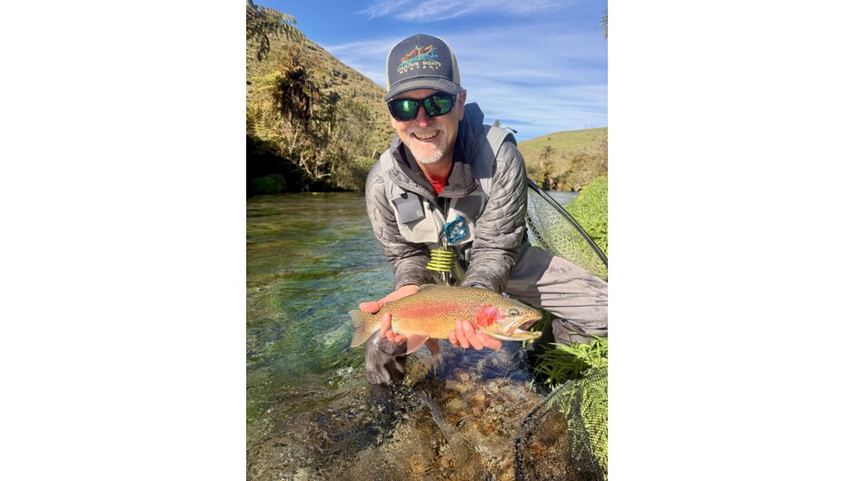 Spring creek rainbow trout