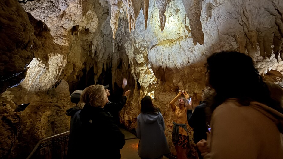 Waitomo caves; Ruakuri limestone cave tour.